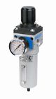 37810-55 Filter Regulator Pressure Raasm