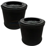 2 Pack 110377E100 / 110377E904 Quincy Air Compressor Filter Intake Elements. Fixed Price $25.97.