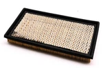 Hastings AF880 Air Filter Nos. Fixed Price $9.97.