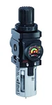 Ingersoll-rand P39124-600 1/4 Npt Filter/regulator, 47 Cfm Max Flow, 150 Psi. Fixed Price $76.62.