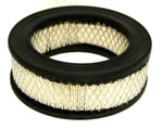 Devilbiss / Devair 43631-010 Intake Filter Replacement 445. Fixed Price $20.76.