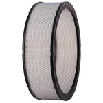 Carquest 87096 Premium Engine Air Filter. Fixed Price $19.99.