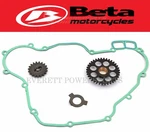 Steel Oil Pump Gears 20-23 Rr-s 350 390 430 480 500 Oem Beta Upgrade #R211. Fixed Price $222.90.