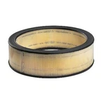 Carquest 87096 Air Filter New. Fixed Price $9.99.